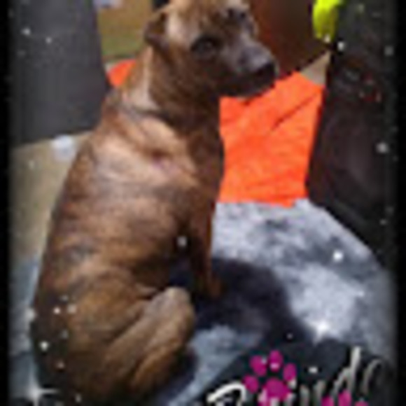 Meet your Posher, Candace - Picture 1 of 1